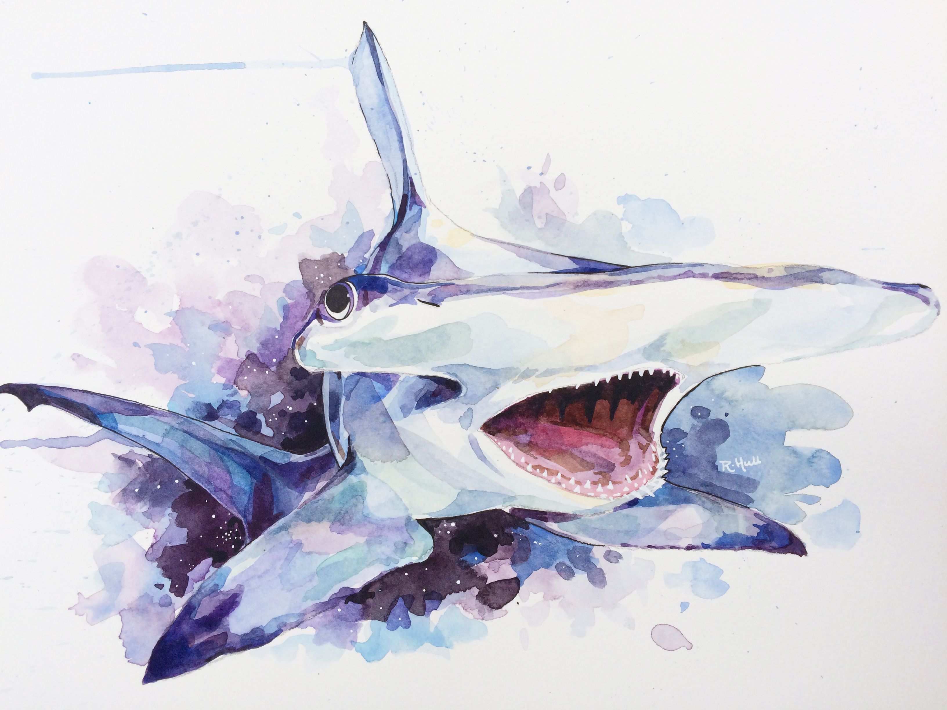 3264x2448 Hammerhead Shark In Space, Watercolour, 12 X 16in - Watercolor Shark