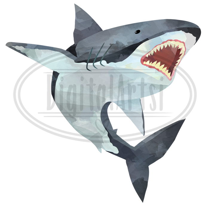 700x706 Watercolor Shark Clipart By Digitalartsi - Watercolor Shark