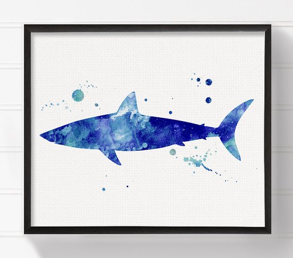 570x503 Watercolor Shark Shark Art Print Shark Painting Shark Etsy - Watercolor Shark