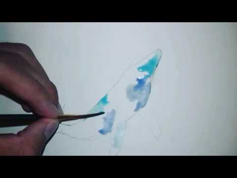 480x360 Watercolor Painting ( Whale Shark) - Watercolor Shark