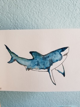 320x427 Watercolor Shark - Watercolor Shark