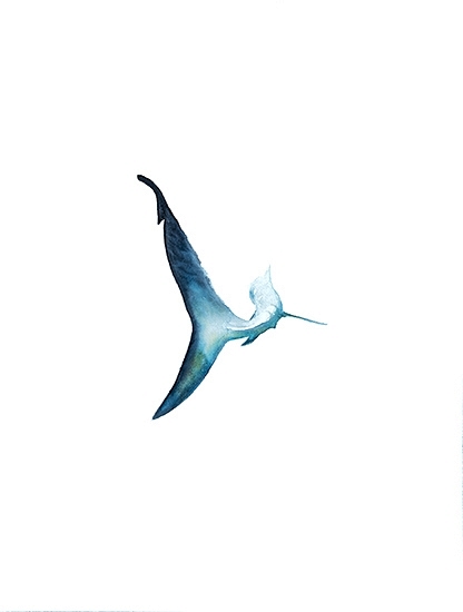 416x550 Dalton Portella Shark Boards Amp Whales Series @ Elizabeth Dow - Watercolor Shark