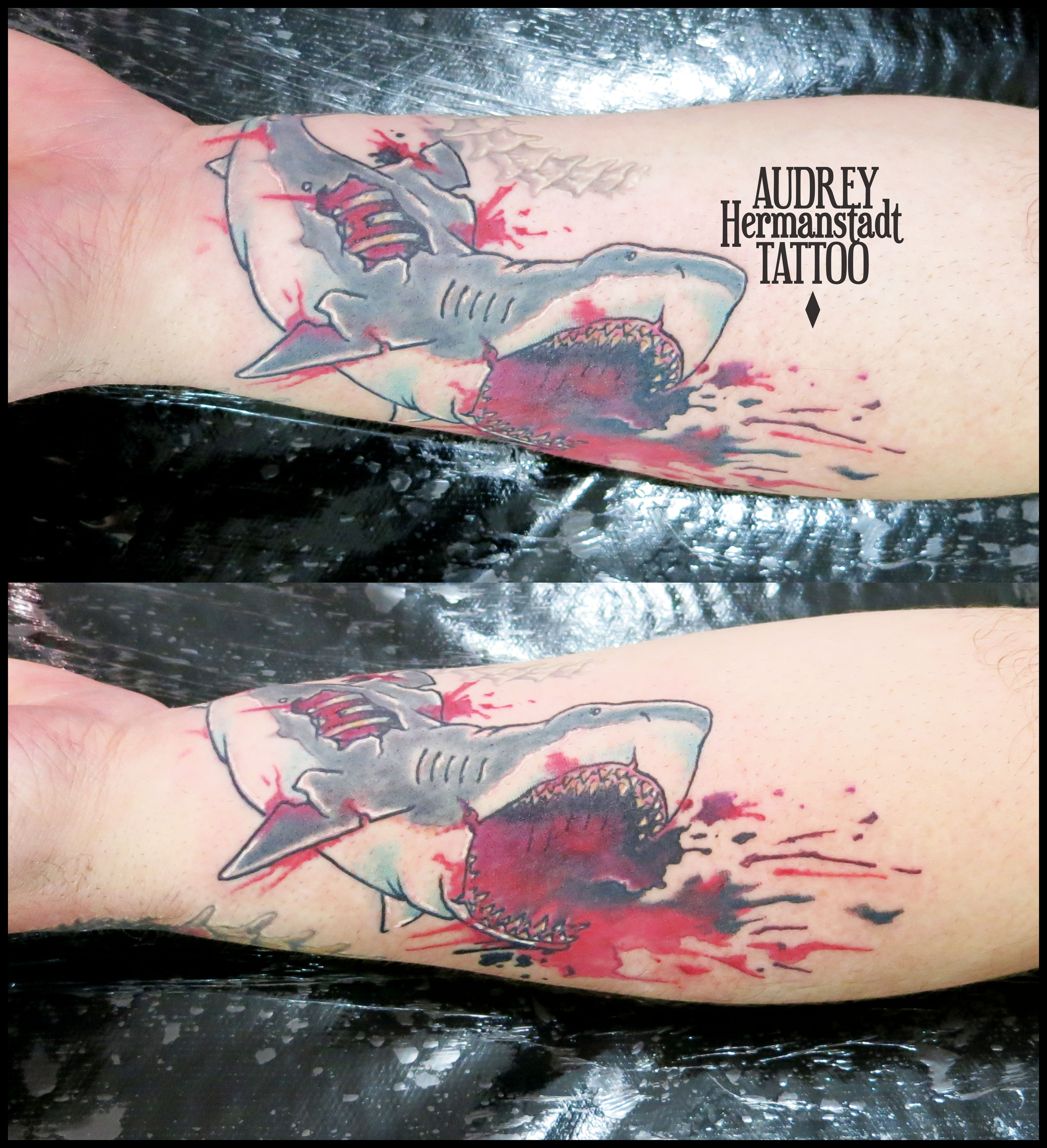 3937x4315 Watercolor Dead Shark Audrey Hermanstadt Tattoo - Watercolor Shark Tattoo