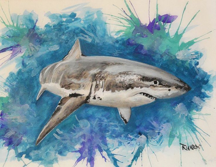 736x570 Watercolour Great White Underwater Tattoo - Watercolor Shark Tattoo