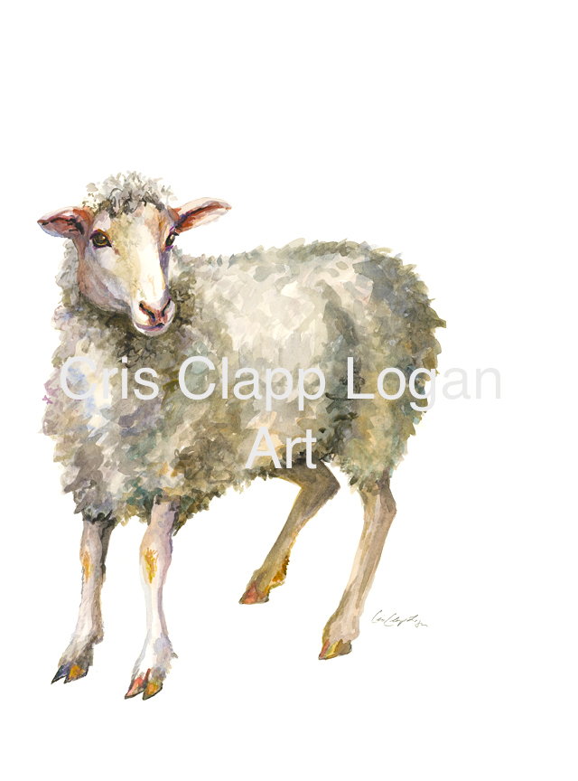 640x864 Original Sheep Watercolor Painting - Watercolor Sheep