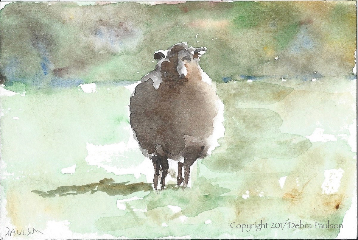 1202x806 Sheep 4 X Sold Debra Paulson - Watercolor Sheep
