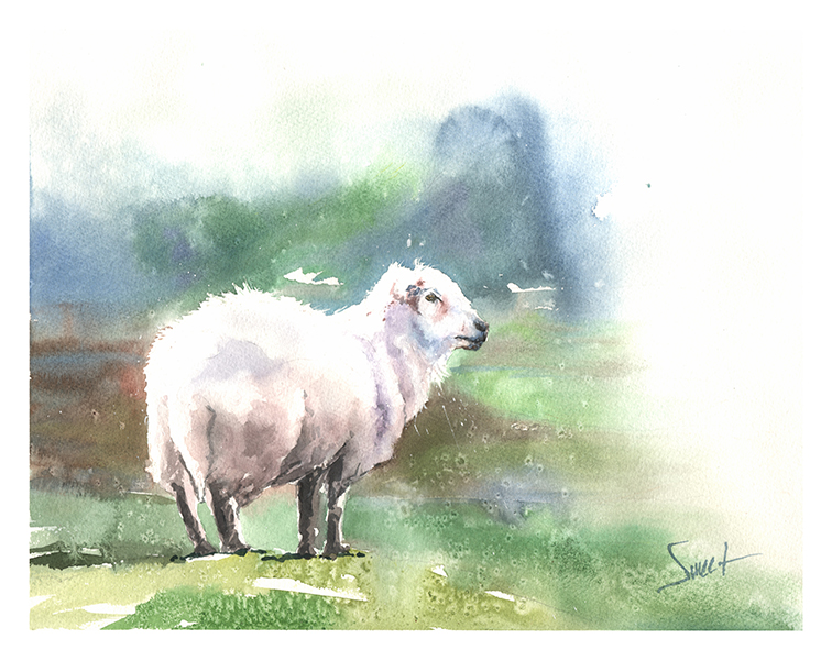 756x600 Sheep Watercolor Print Watercolor Animal Paintings - Watercolor Sheep