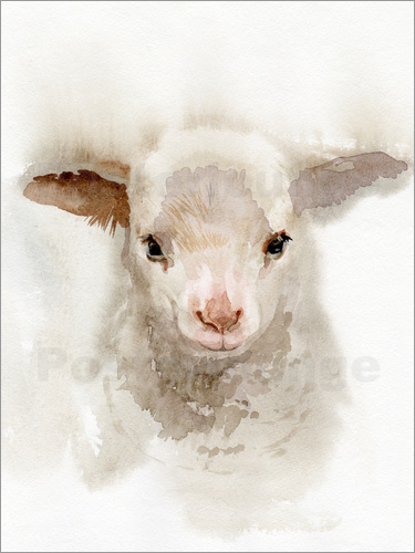 375x500 Verbrugge Watercolor Lamb Watercolor Poster Posterlounge - Watercolor Sheep