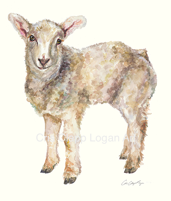 568x668 Baby Sheep Watercolor Print - Watercolor Sheep