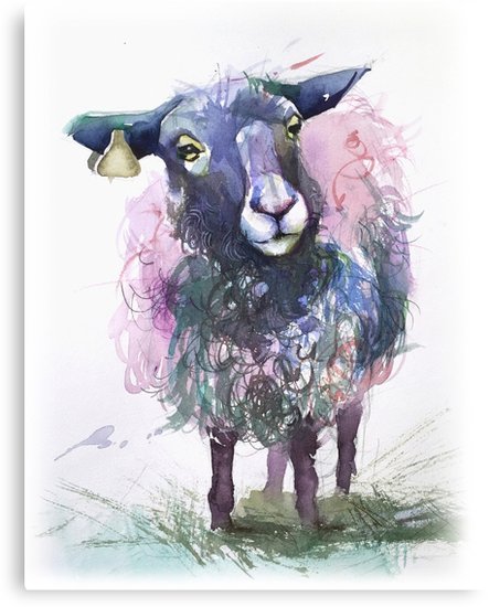 443x550 Watercolor Sheep Canvas Prints By Tallula Redbubble - Watercolor Sheep