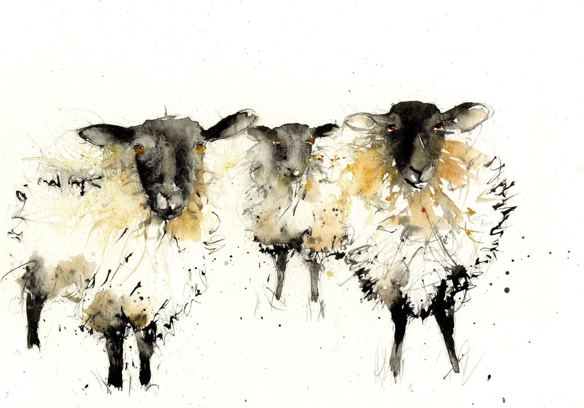 2048x1432 Signed Limited Editon Print Of My Original Blackface Sheep - Watercolor Sheep