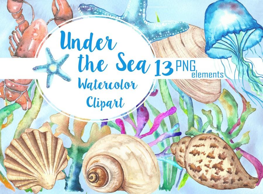 900x665 Sea Shells Watercolor Clipart, Under The Sea Clip Art Watercolor - Watercolor Shells