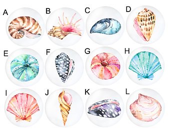 340x270 Shell Watercolor Etsy - Watercolor Shells