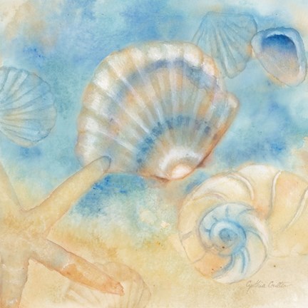 432x432 Watercolor Shells Ii Fine Art Print By Cynthia Coulter - Watercolor Shells