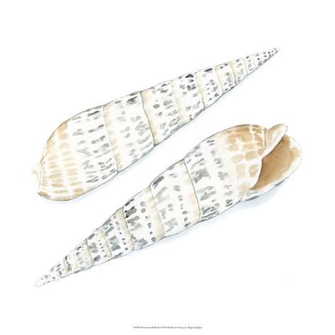 473x473 Watercolor Shells Ix Giclee Print By Megan Meagher - Watercolor Shells