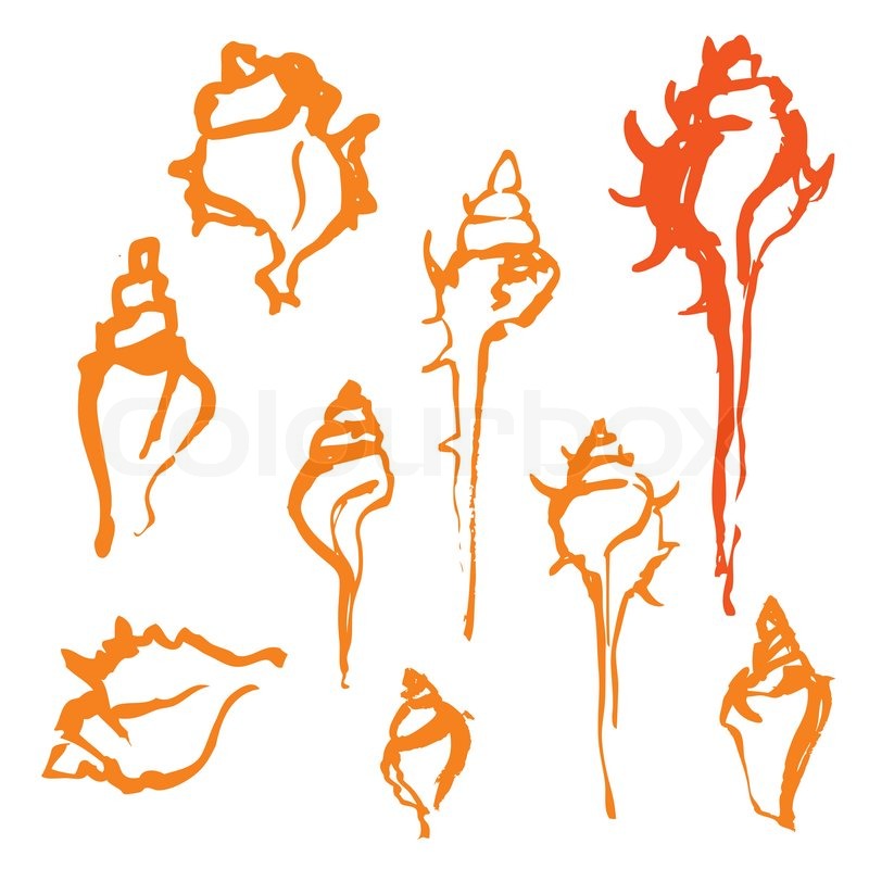 800x800 A Set Of Isolated Watercolor Shells For Design Stock Vector - Watercolor Shells