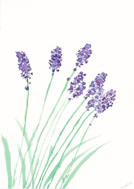 570x803 Watercolour Lavender For Invites. This Shape Or Maybe Wisteria - Watercolor Simple Flowers