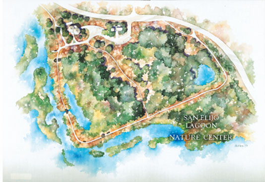 534x367 - Watercolor Site Plan