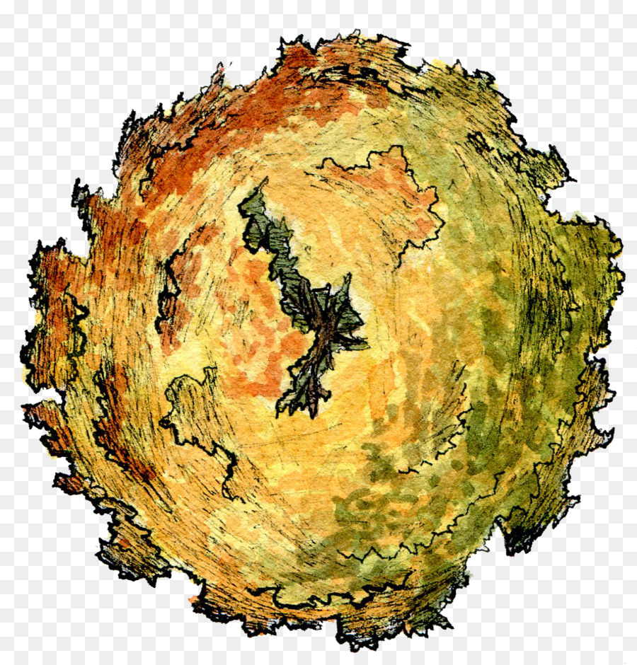 900x940 Tree Acer Campestre Watercolor Painting Site Plan - Watercolor Site Plan