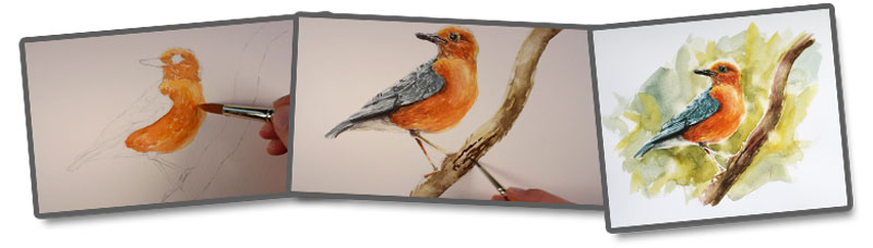 800x228 Watercolor Sketch - Watercolor Sketch