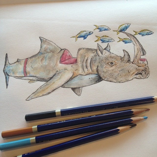 640x640 Rhino Shark! Watercolor Pencil Sketch From Oil Painting I - Watercolor Sketch Pencil