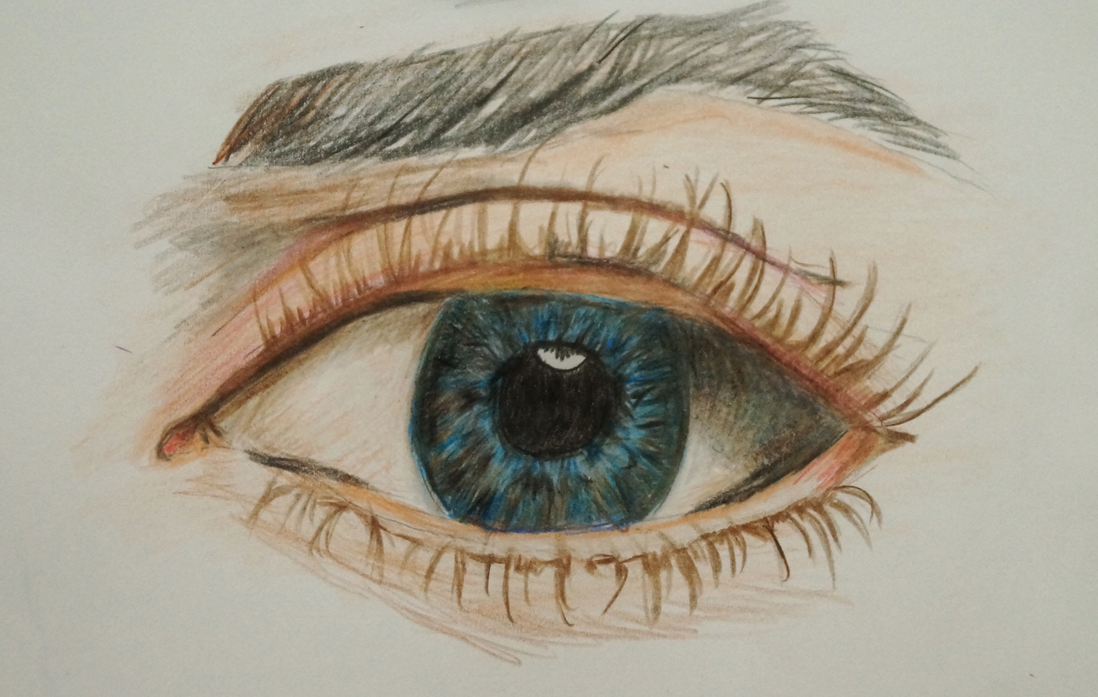 3587x2279 Watercolor Pencil Drawing - Watercolor Sketch Pencil