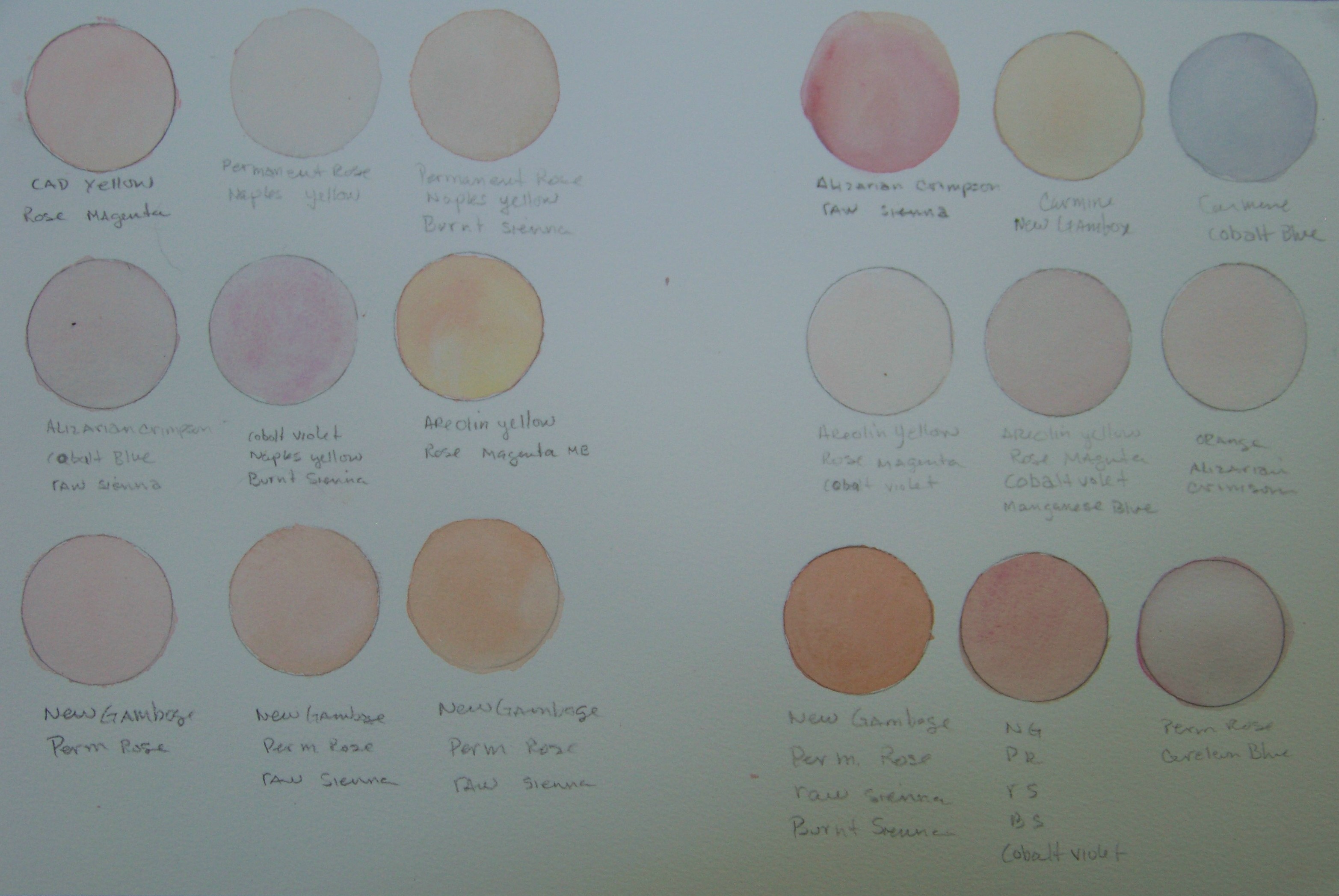 3130x2095 Skin Tone Chart For Watercolor A Painting A Week - Watercolor Skin Tone