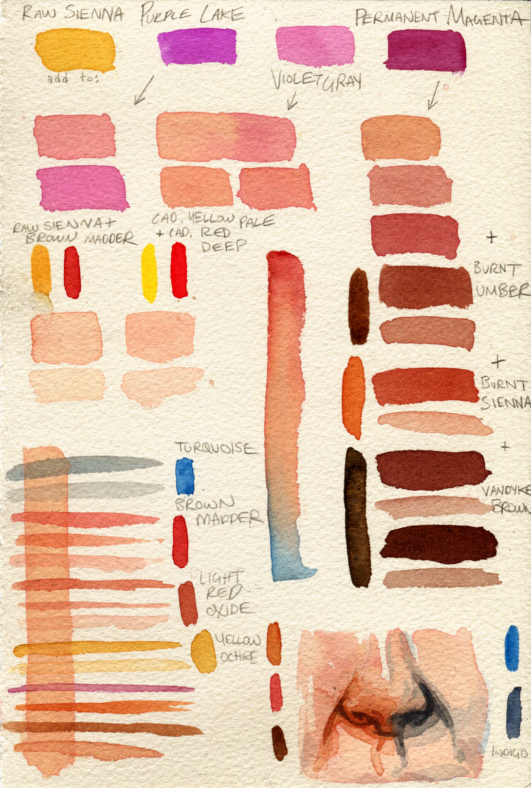 1091x1617 Watercolour Cheat Sheet - Watercolor Skin Tone
