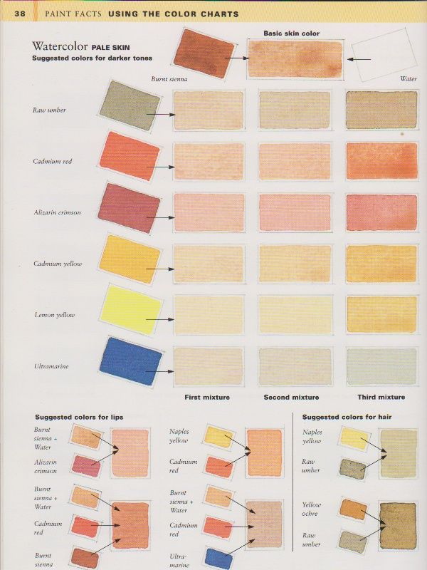 600x800 Pigment Colours For Light Skin Tone. - Watercolor Skin Tone Colors