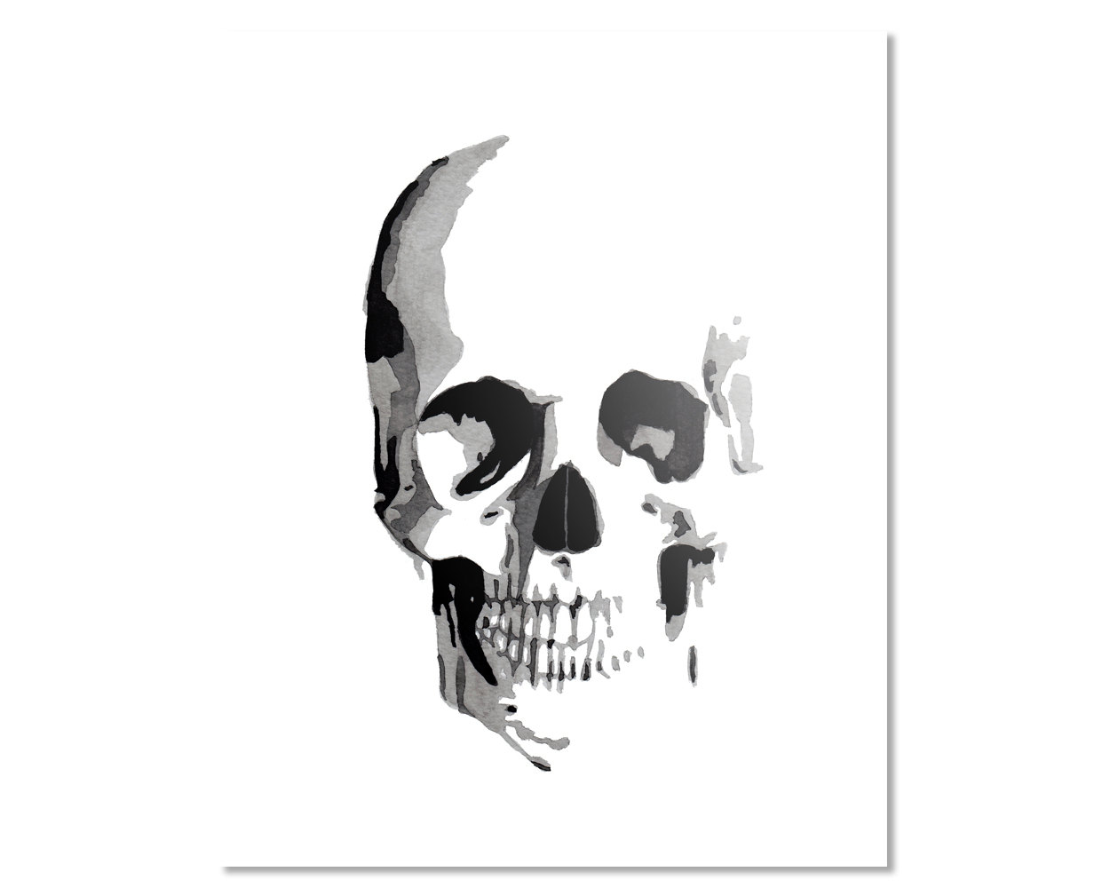 1250x1000 Skull Watercolor Giclee Fine Art Print Poster Of Original Etsy - Watercolor Skull