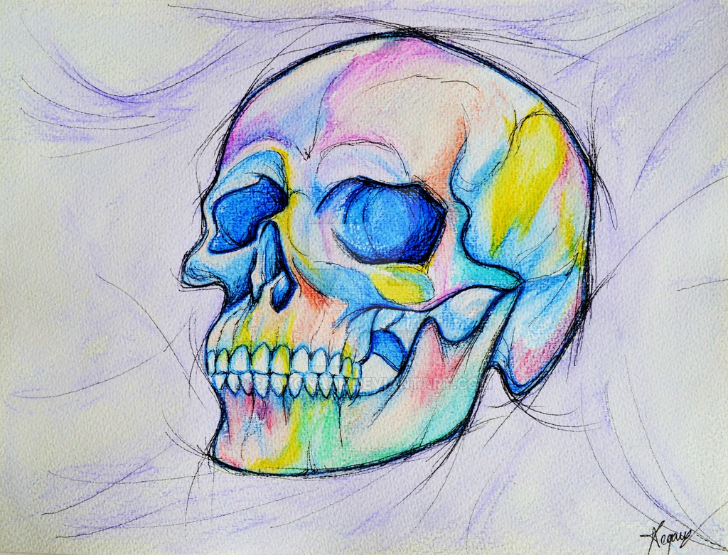 1024x781 Watercolor Skull By Crayonade - Watercolor Skull