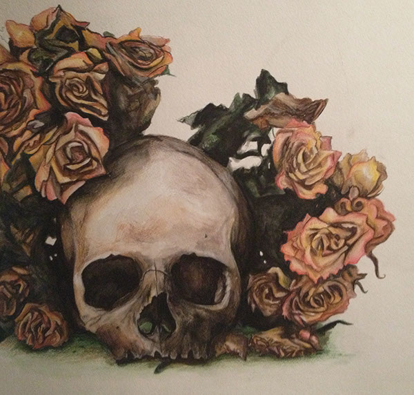 600x572 Watercolor Skull On Behance - Watercolor Skull
