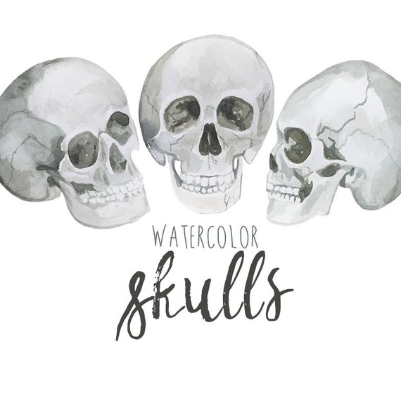 570x570 Watercolor Skulls Painted Halloween Skull Clip Art Skulls Etsy - Watercolor Skull