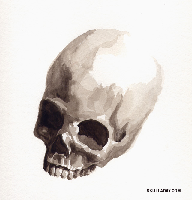 640x664 Flashback Friday] 35. Watercolor Skull - Watercolor Skull