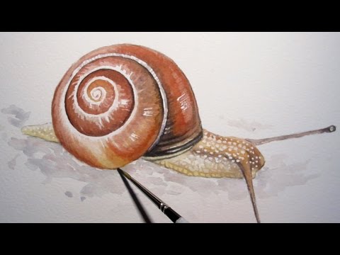 480x360 Pink Snail - Watercolor Snail