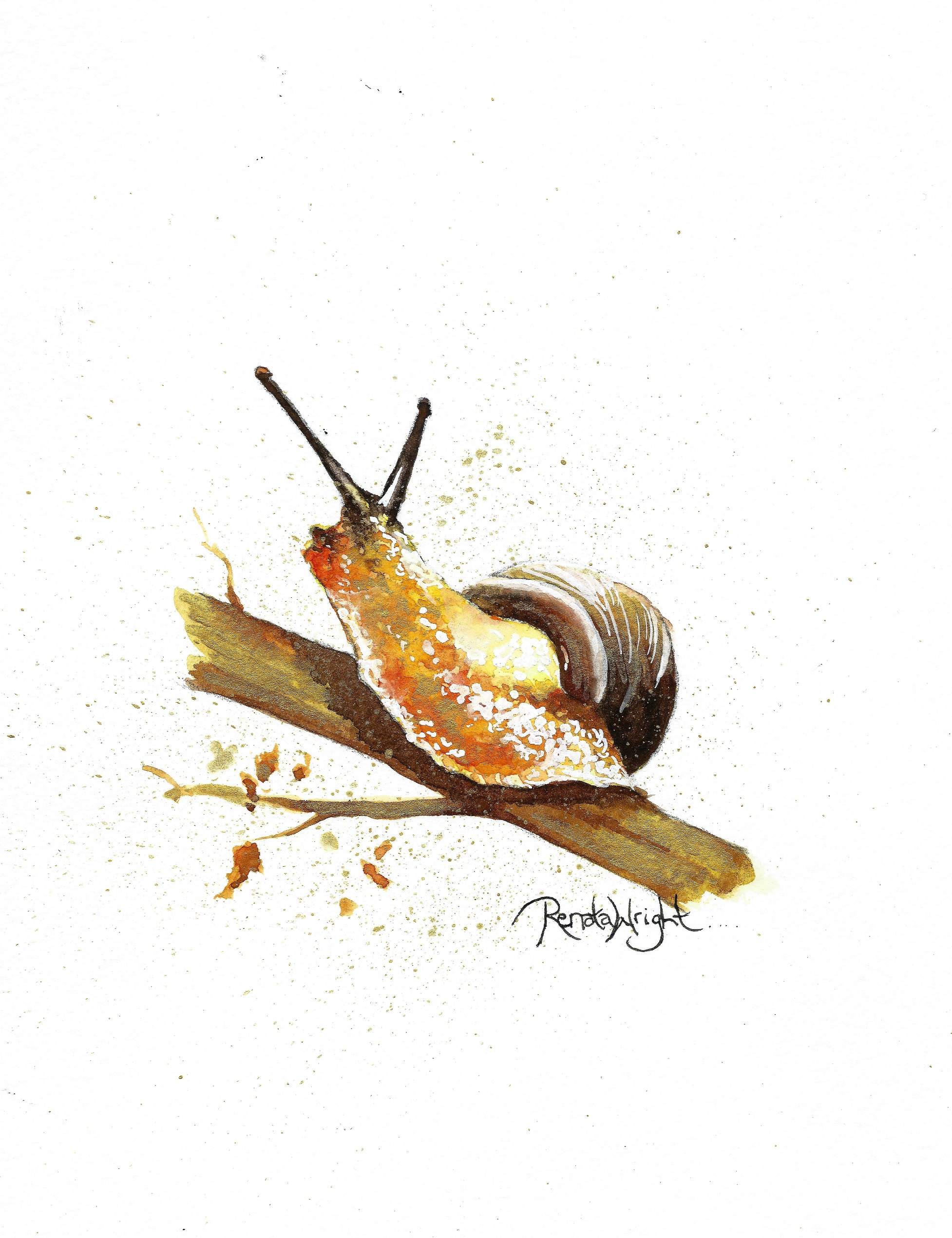 1954x2541 Amadeus The Golden Snail - Watercolor Snail