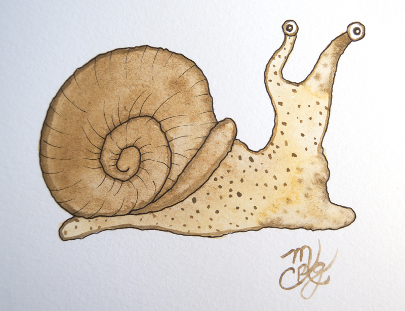 800x615 Watercolor Snail Illustration Tutorial - Watercolor Snail