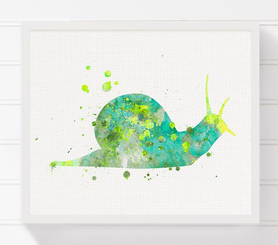 570x503 Watercolor Snail Snail Art Print Kids Room Decor Nursery Etsy - Watercolor Snail