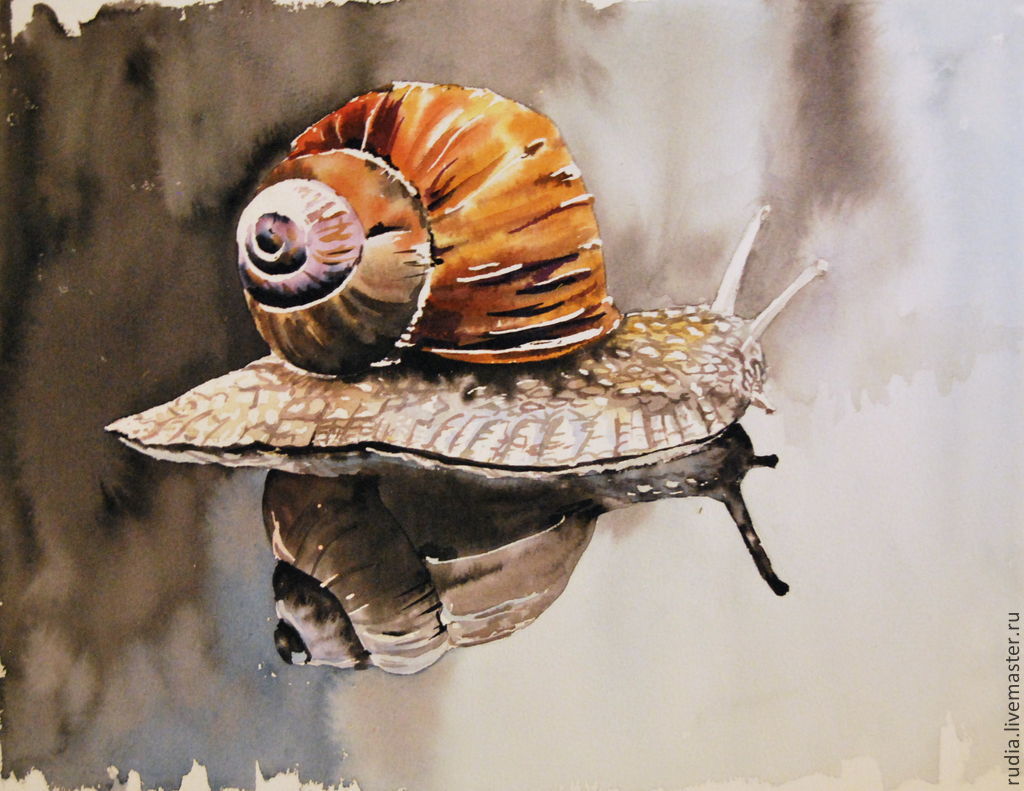 1024x791 Watercolor The Snail And Its Reflection. Watercolor Painting - Watercolor Snail