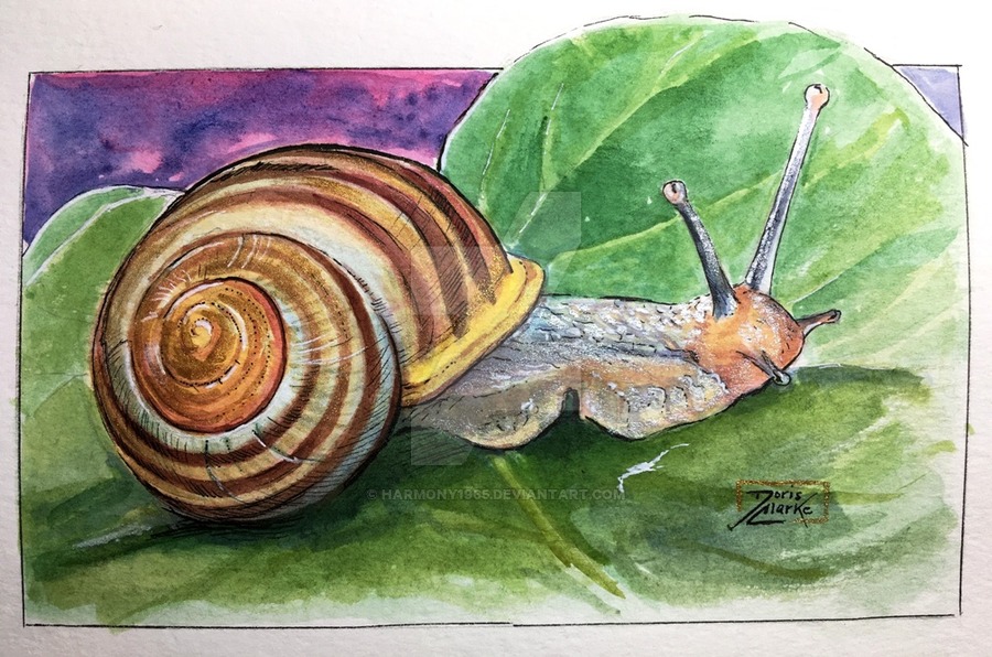 900x596 World Watercolor Month - Watercolor Snail