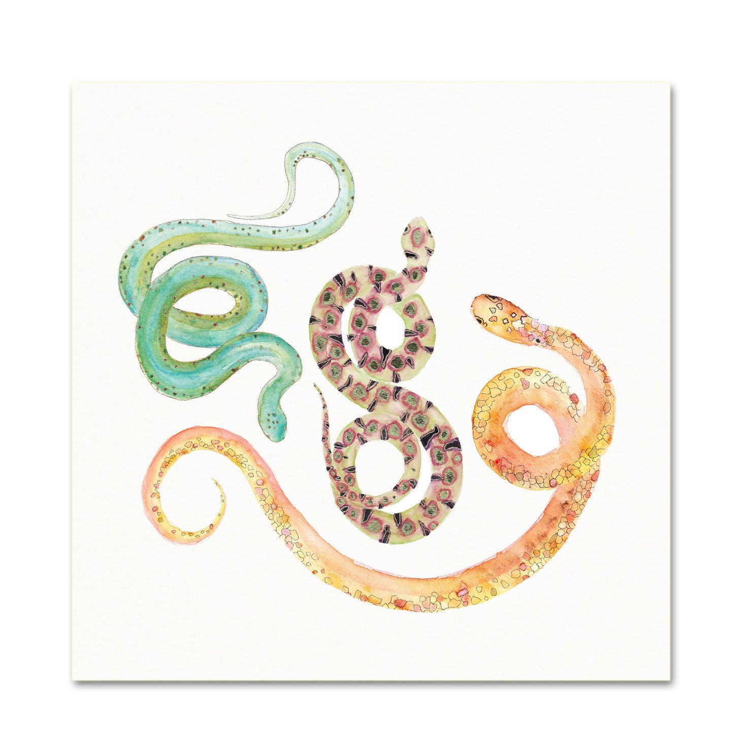1475x1475 Pastel Snake Watercolor Art - Watercolor Snake