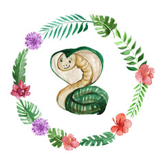 240x240 Search Photos Watercolor Snake - Watercolor Snake