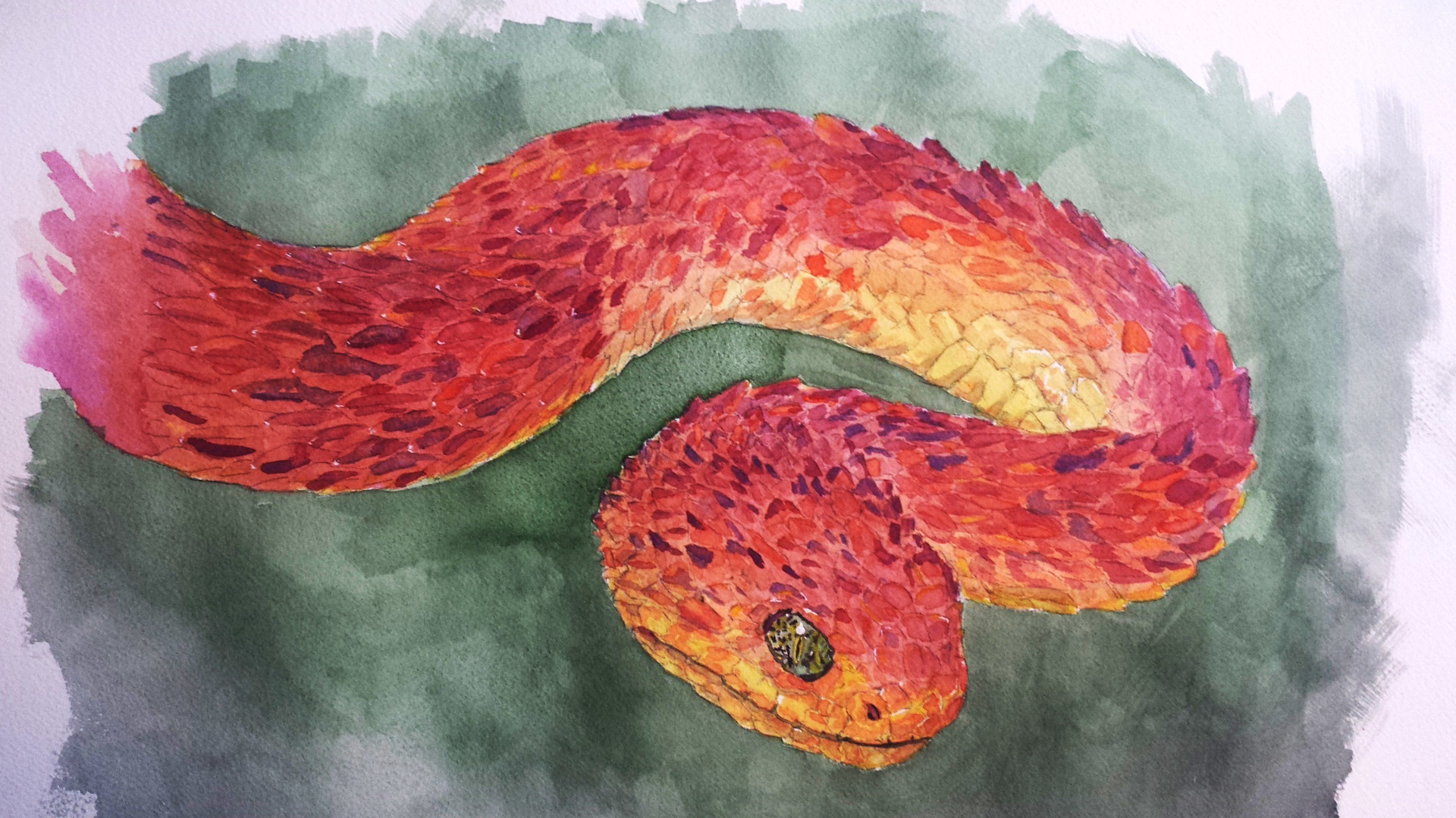 1920x1080 Artstation - Watercolor Snake