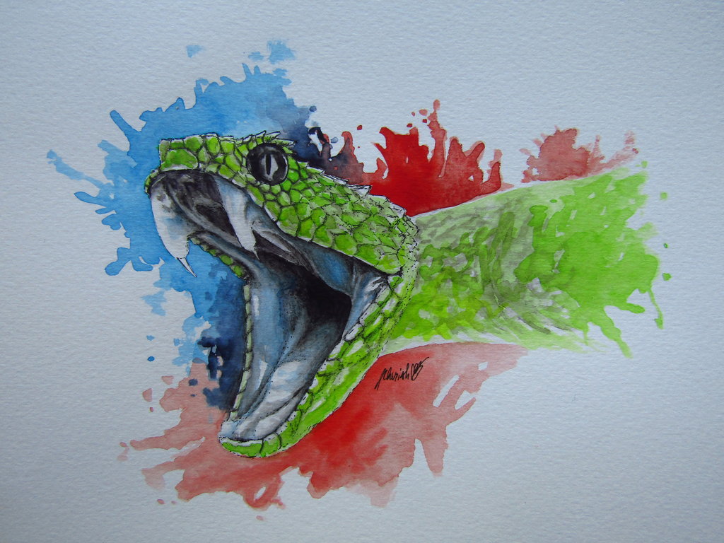 1024x768 Watercolour Snake By Cherishart - Watercolor Snake