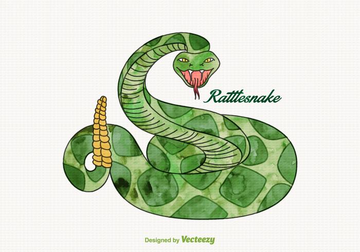 700x490 Free Vector Watercolor Rattlesnake - Watercolor Snake