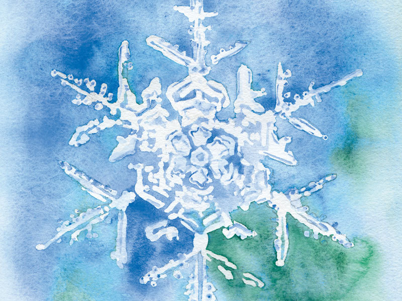 800x600 Snowflake Watercolor Painting Christmas Cards Set By Susanwindsor - Watercolor Snowflake