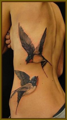 236x420 Watercolor Sparrow Tattoo New 16 Best Swallow Tattoo Meaning - Watercolor Sparrow Tattoo