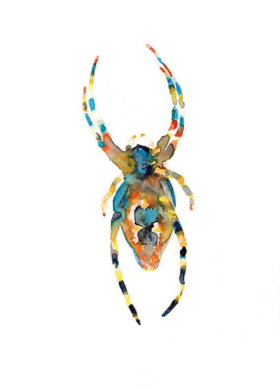 570x793 Spider Original Watercolor Painting Insect Wild By Lespetitesbetes - Watercolor Spider