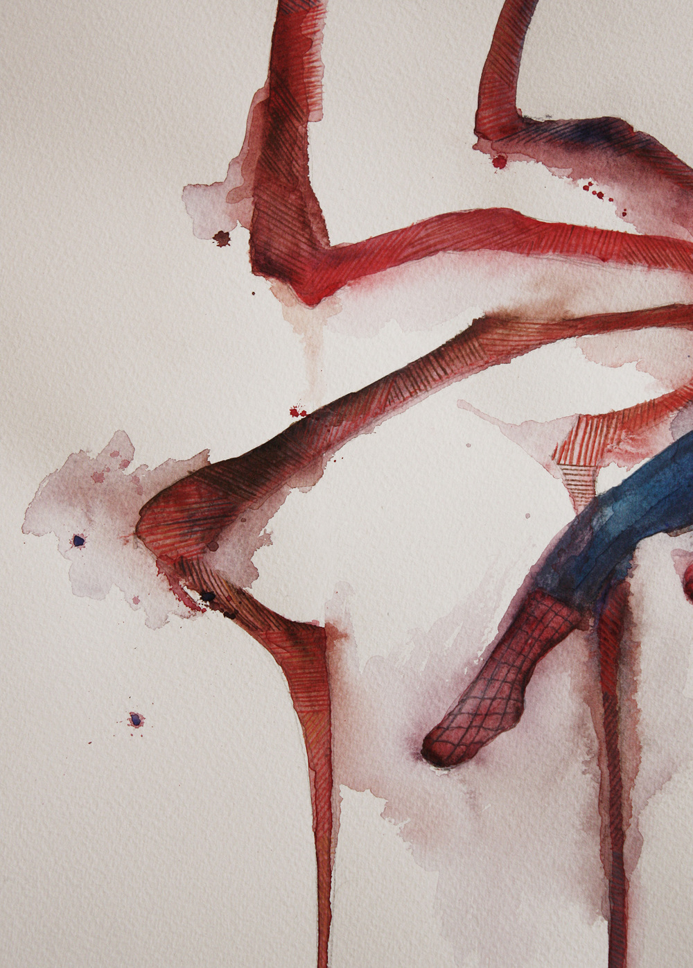 1000x1396 Spider Ben Holmes - Watercolor Spider