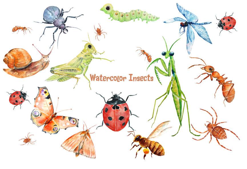 865x594 Watercolor Clipart Insects And Spider Instant Download, Ant - Watercolor Spider